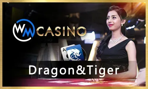 VIP Program